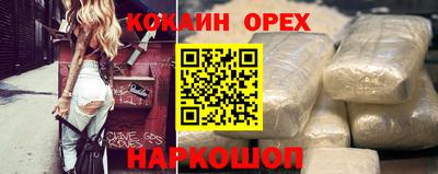 тгк Бийск