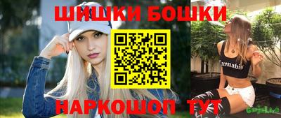 тгк Бийск