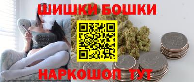 тгк Бийск