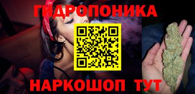 тгк Бийск