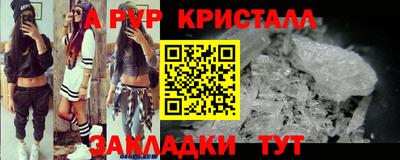 тгк Бийск