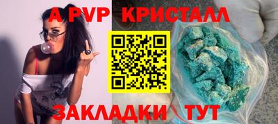тгк Бийск