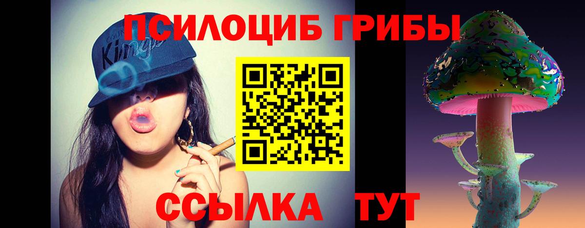 Галлюциногенные грибы GOLDEN TEACHER  Вход с VPN  Выборг  Галлюциногенные грибы Psilocybine cubensis 